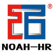 河北诺亚人力资源发展集团 专业人力资源服务的领航者